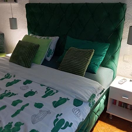 Green Cactus Rooms - Unique And Cozy House Senta Εξωτερικό φωτογραφία
