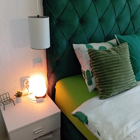 Green Cactus Rooms - Unique And Cozy House Senta Εξωτερικό φωτογραφία
