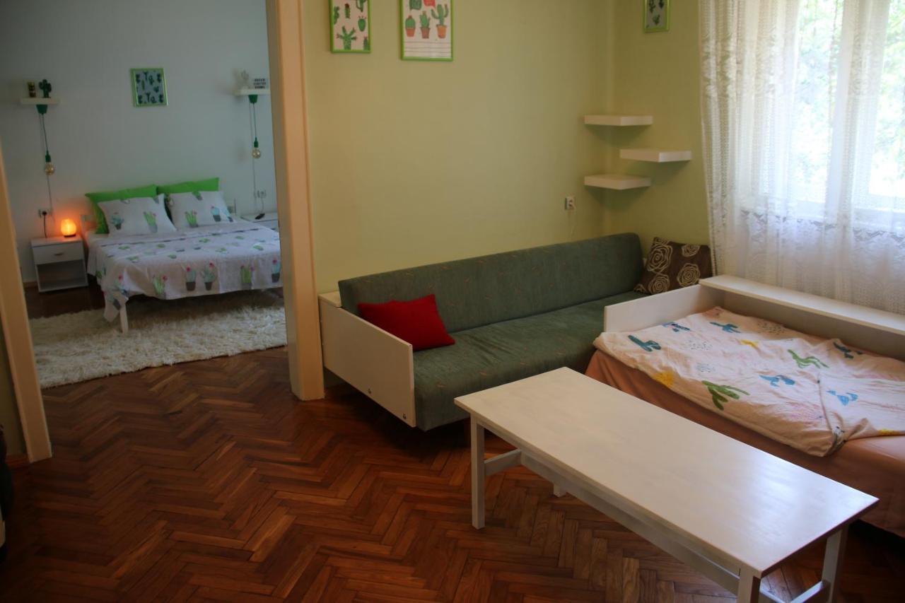 Green Cactus Rooms - Unique And Cozy House Senta Εξωτερικό φωτογραφία
