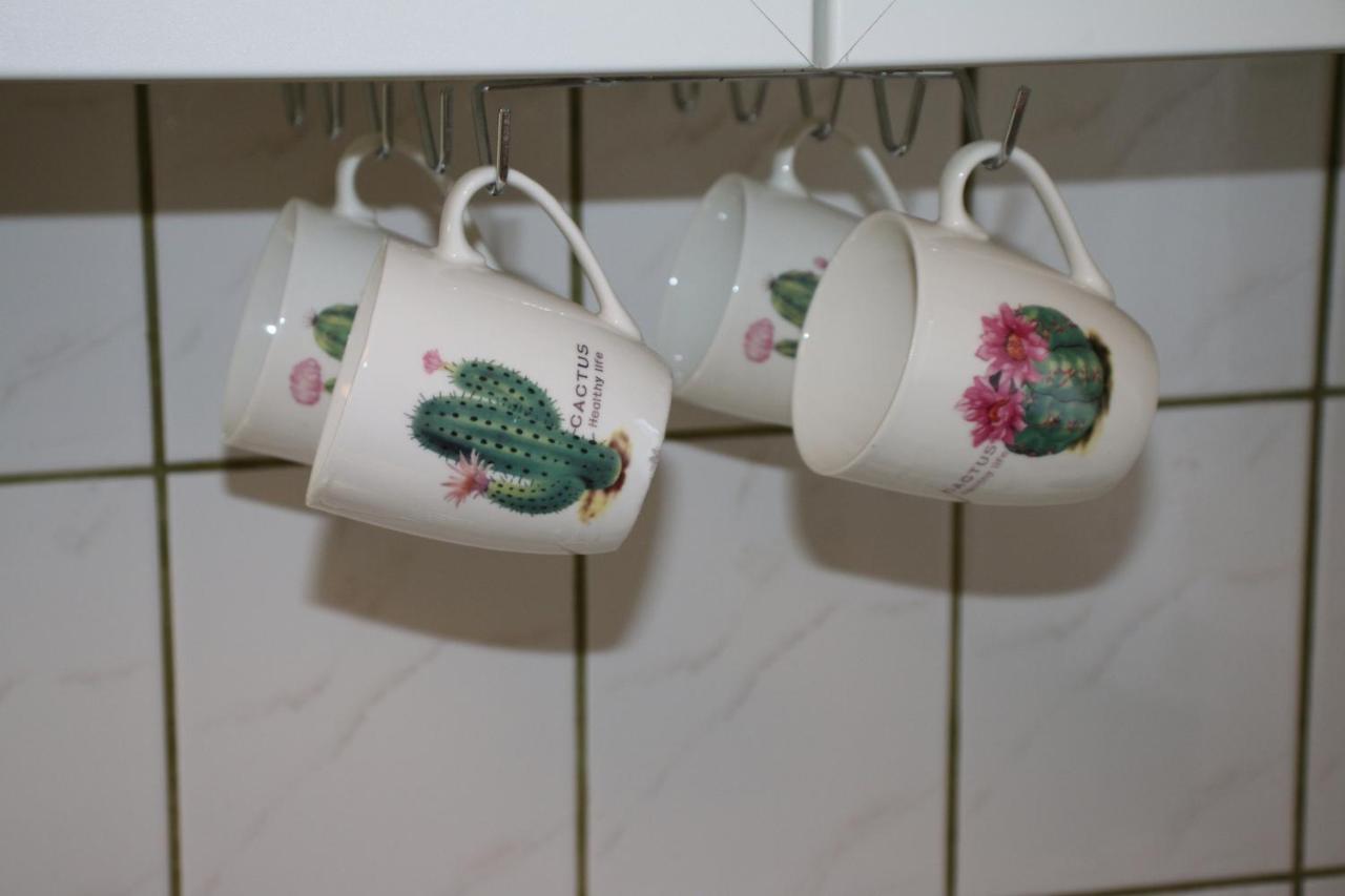 Green Cactus Rooms - Unique And Cozy House Senta Εξωτερικό φωτογραφία