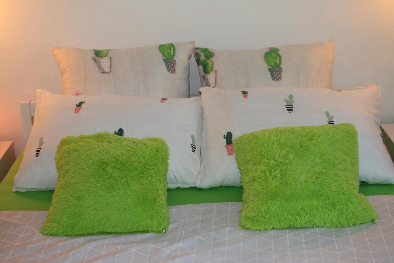 Green Cactus Rooms - Unique And Cozy House Senta Εξωτερικό φωτογραφία
