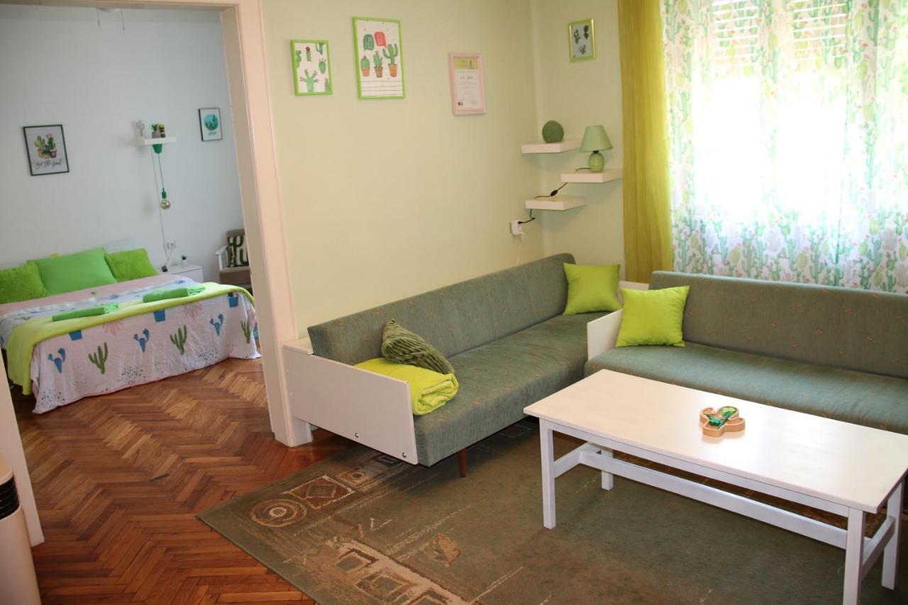 Green Cactus Rooms - Unique And Cozy House Senta Εξωτερικό φωτογραφία
