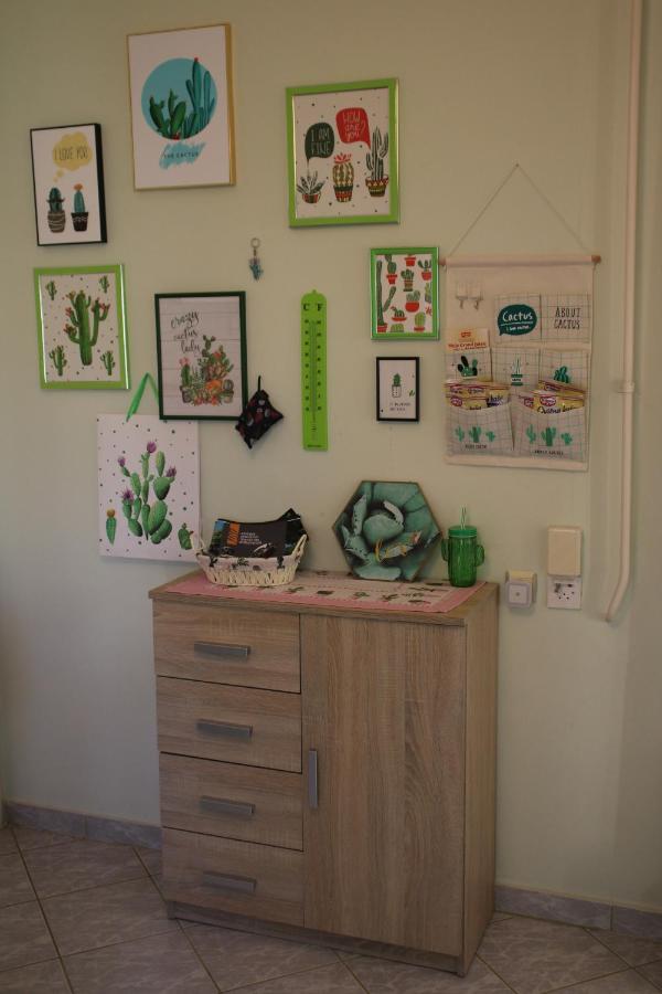 Green Cactus Rooms - Unique And Cozy House Senta Εξωτερικό φωτογραφία