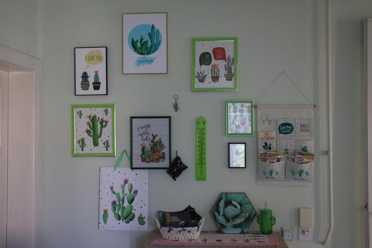 Green Cactus Rooms - Unique And Cozy House Senta Εξωτερικό φωτογραφία