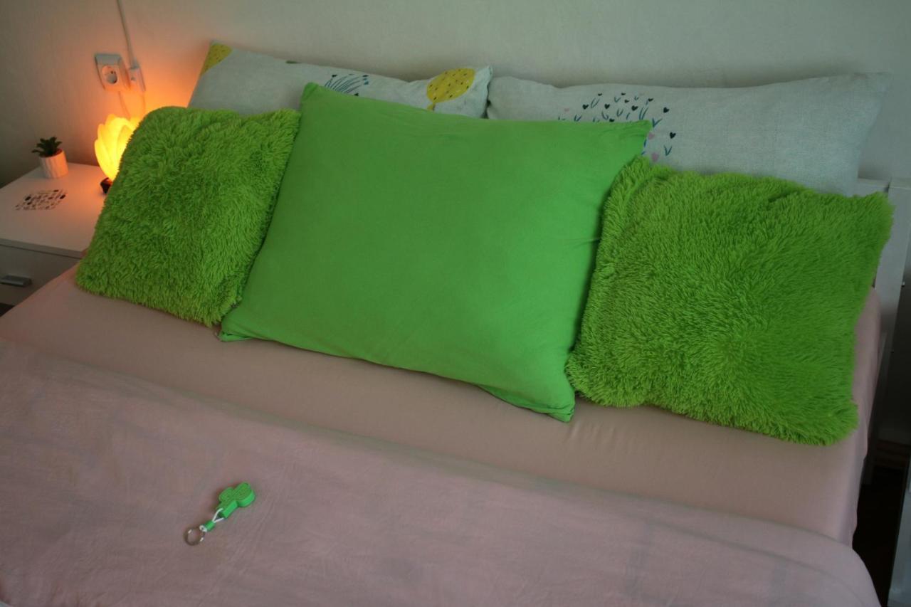 Green Cactus Rooms - Unique And Cozy House Senta Εξωτερικό φωτογραφία
