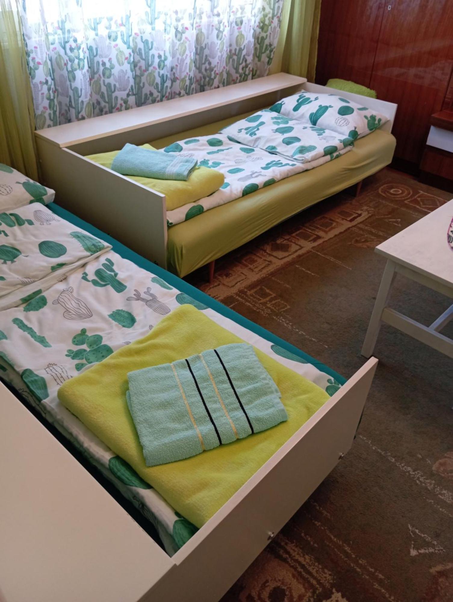 Green Cactus Rooms - Unique And Cozy House Senta Εξωτερικό φωτογραφία