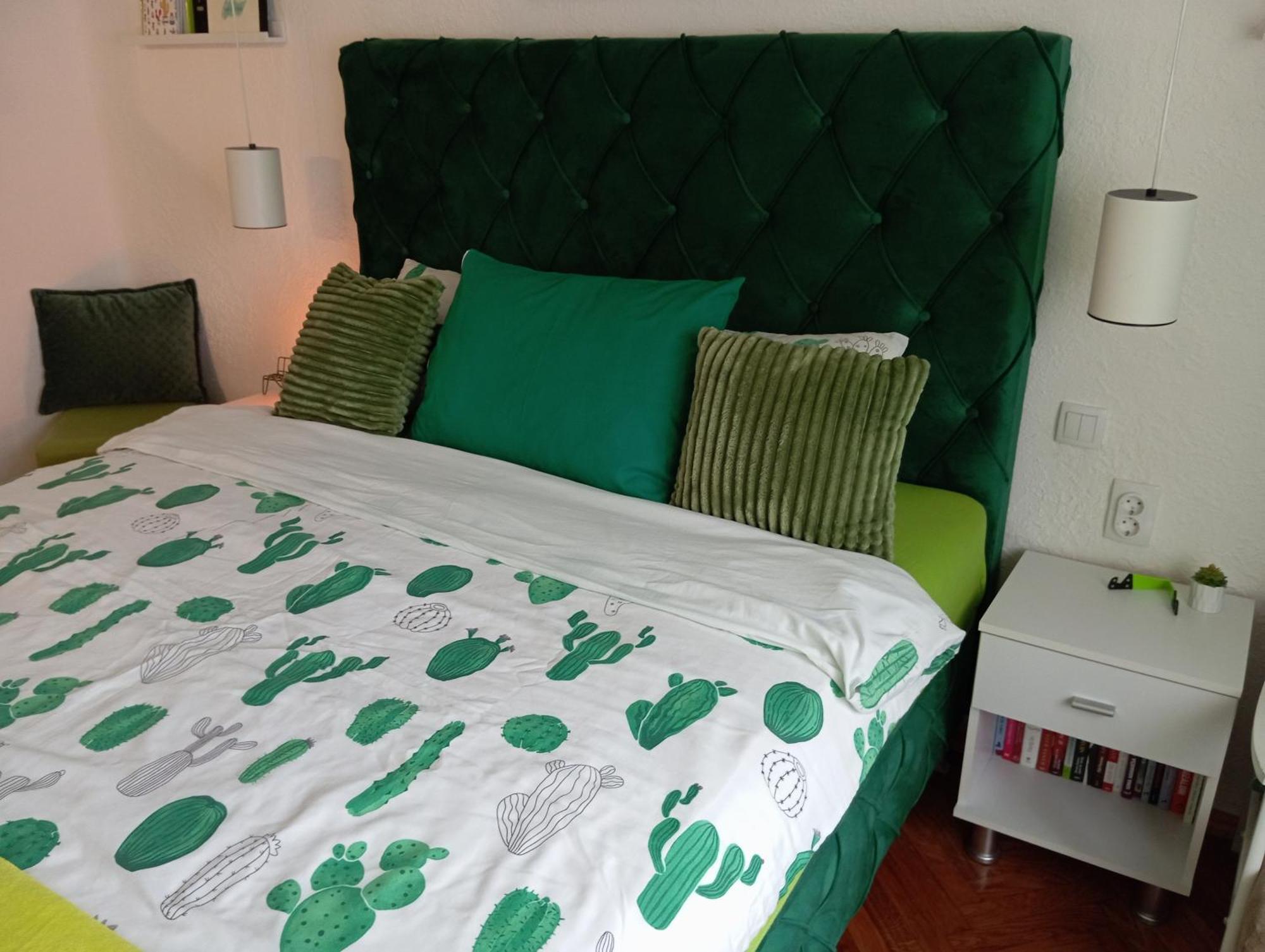 Green Cactus Rooms - Unique And Cozy House Senta Εξωτερικό φωτογραφία
