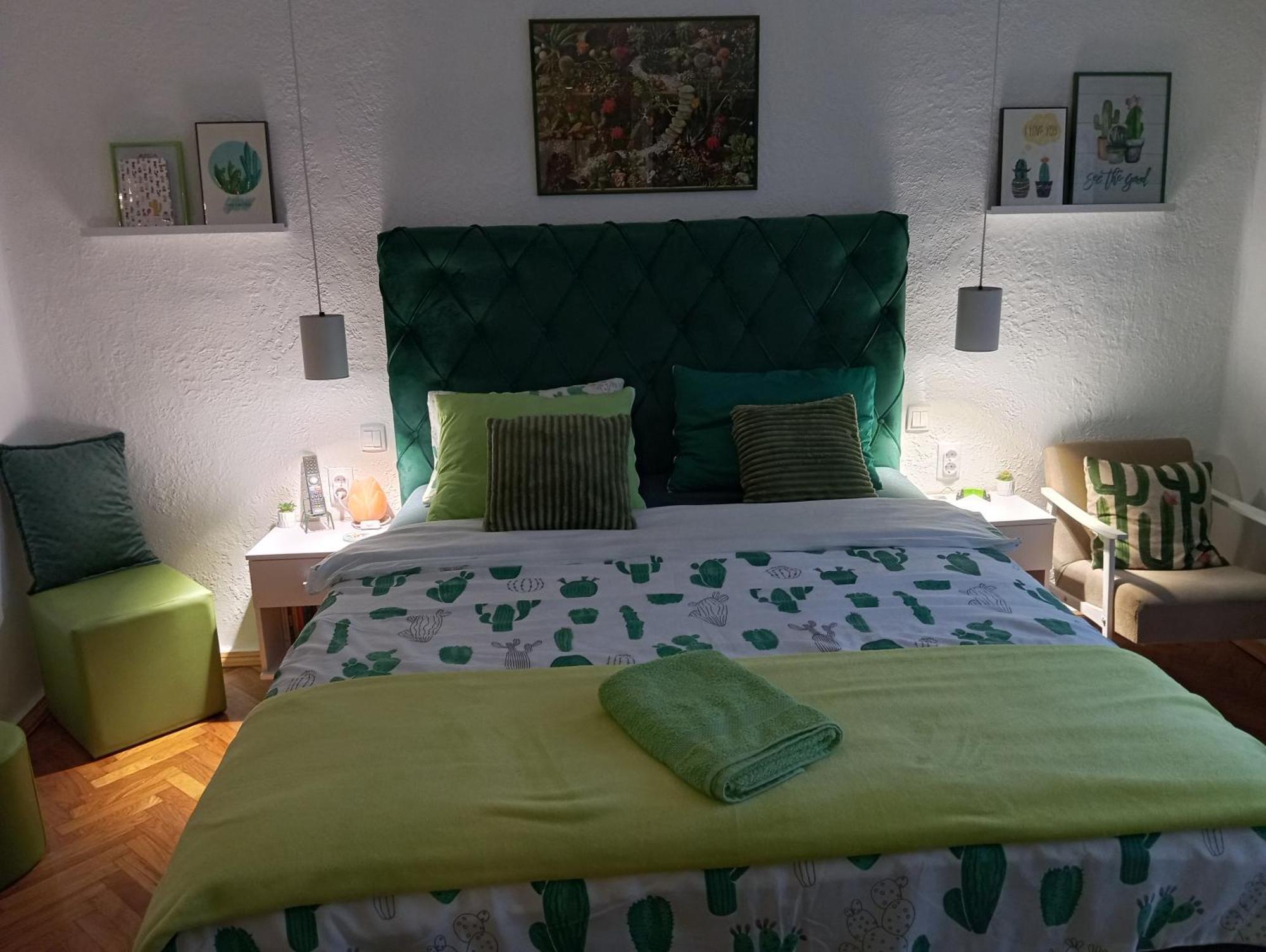 Green Cactus Rooms - Unique And Cozy House Senta Εξωτερικό φωτογραφία